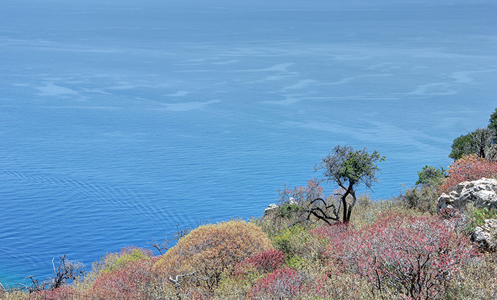ΧΤΙΣΤΕ ΤΗ ΒΙΛΑ ΣΑΣ ΣΤΟ ΟΙΚΟΠΕΔΟ ΠΟΥ ΤΗΣ ΑΞΙΖΕΙ