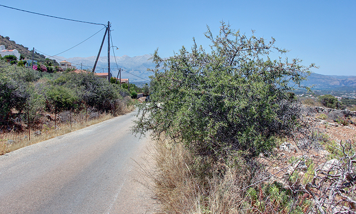 ΚΟΡΥΦΑΙΟ ΣΗΜΕΙΟ ΚΑΤΑΛΛΗΛΟ ΓΙΑ ΠΟΛΥΤΕΛΗ ΒΙΛΑ
