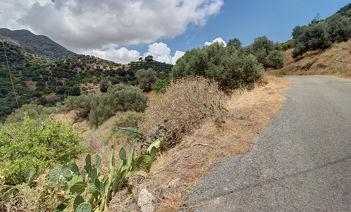 SOUTH-FACING LAND WITH 2 LARGE OPPOSITE FRONTS