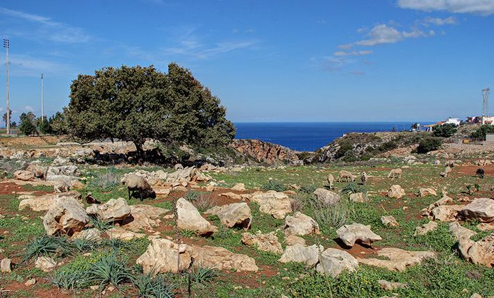 A LARGE PLATFORM WITH UNOBSTRUCTED SEA VIEWS