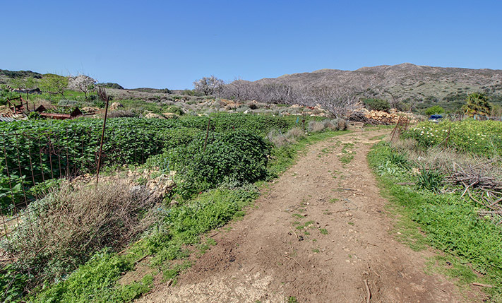 ΣΤΟΝ ΤΕΛΕΥΤΑΙΟ ΟΙΚΙΣΜΟ ΠΡΙΝ ΤΙΣ ΜΕΝΙΕΣ