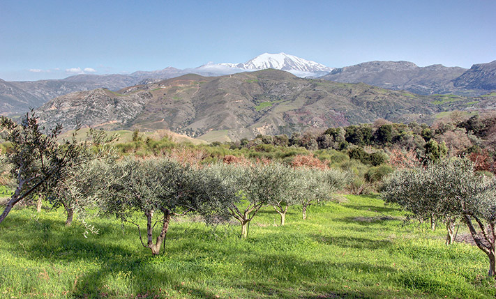 SECLUDED FARM LAND WITH DRAMATIC VIEWS