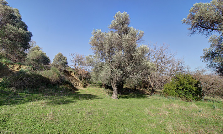 SECLUDED FARM LAND WITH DRAMATIC VIEWS