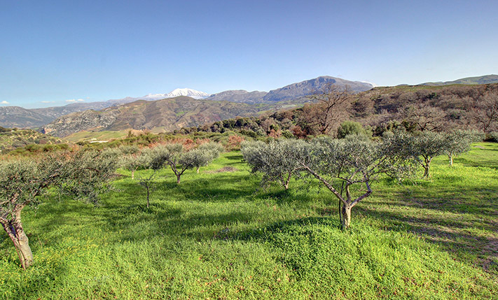 SECLUDED FARM LAND WITH DRAMATIC VIEWS