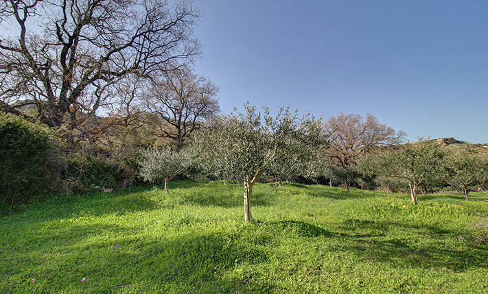 SECLUDED FARM LAND WITH DRAMATIC VIEWS
