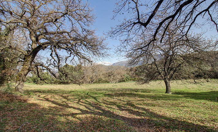 SECLUDED FARM LAND WITH DRAMATIC VIEWS