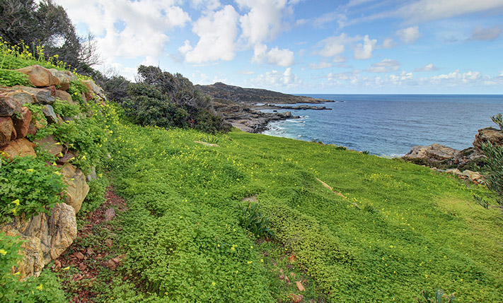 3 ΓΕΙΤΟΝΙΚΑ ΑΓΡΟΤΕΜΑΧΙΑ ΣΕ ΑΠΟΜΑΚΡΥΣΜΕΝΗ ΘΕΣΗ