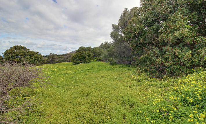 3 ΓΕΙΤΟΝΙΚΑ ΑΓΡΟΤΕΜΑΧΙΑ ΣΕ ΑΠΟΜΑΚΡΥΣΜΕΝΗ ΘΕΣΗ