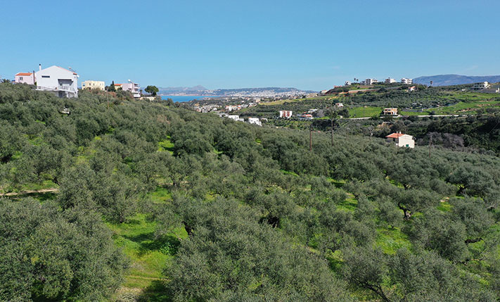 ΝΟΤΙΟΑΝΑΤΟΛΙΚΟΣ ΠΡΟΣΑΝΑΤΟΛΙΣΜΟΣ ΣΕ ΚΑΛΗ ΘΕΣΗ