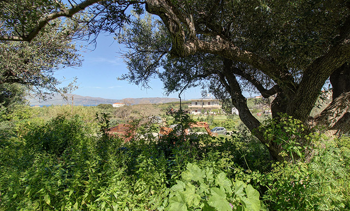 LAND WITH GUARANTEED UNOBSTRUCTED VIEWS