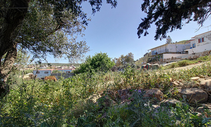 ΟΙΚΟΠΕΔΟ ΜΕ ΠΡΑΝΕΣ ΠΟΥ ΔΙΑΣΦΑΛΙΖΕΙ ΤΗ ΘΕΑ