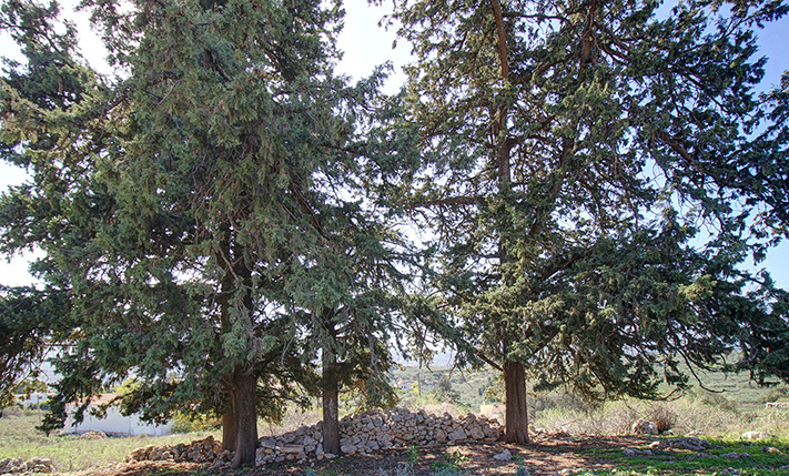 FOR A HOUSE OR COMPLEX WITH MOUNTAIN VIEWS