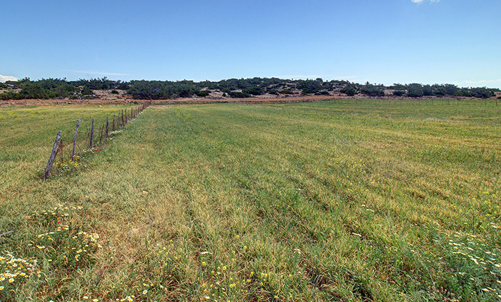ΕΠΙΠΕΔΗ ΚΑΛΛΙΕΡΓΗΣΙΜΗ ΑΓΡΟΤΙΚΗ ΕΚΤΑΣΗ