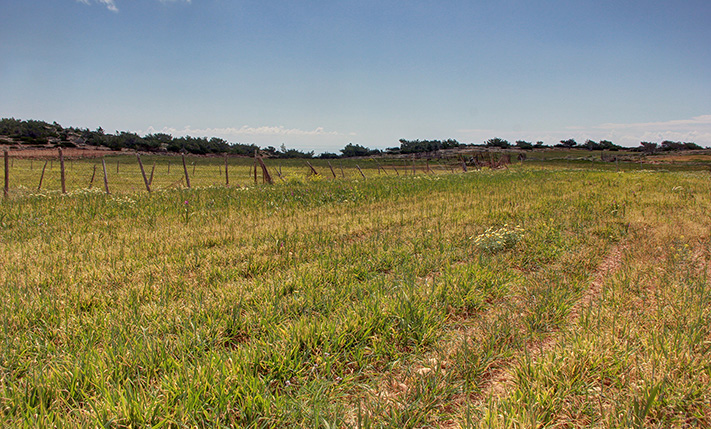 ΕΠΙΠΕΔΗ ΚΑΛΛΙΕΡΓΗΣΙΜΗ ΑΓΡΟΤΙΚΗ ΕΚΤΑΣΗ