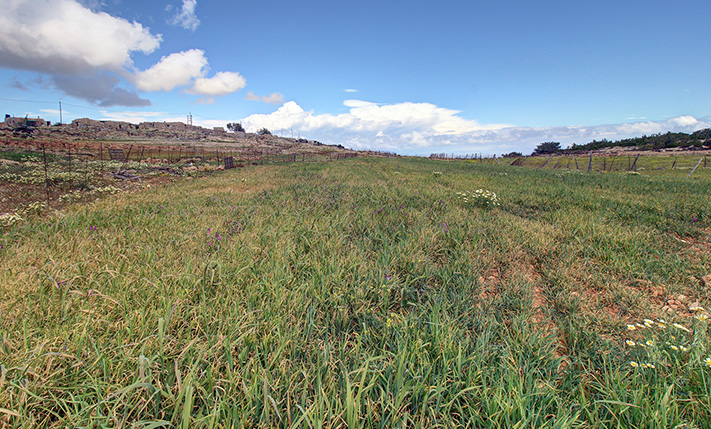 FLAT, ARABLE FARMLAND FOR SALE