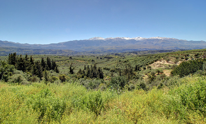 ΑΡΤΙΟ ΚΑΤΑ ΚΑΝΟΝΑ ΜΕ ΑΝΕΜΠΟΔΙΣΤΗ ΝΟΤΙΑ ΘΕΑ