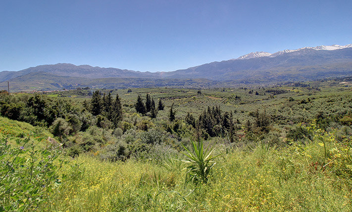 ΑΡΤΙΟ ΚΑΤΑ ΚΑΝΟΝΑ ΜΕ ΑΝΕΜΠΟΔΙΣΤΗ ΝΟΤΙΑ ΘΕΑ