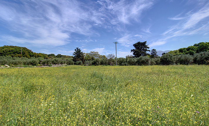 ΚΕΝΤΡΙΚΑ ΣΤΟΝ ΒΑΜΟ ΓΙΑ ΟΙΚΙΑ ΜΕ ΜΕΓΑΛΟ ΚΗΠΟ