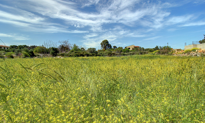 ΚΕΝΤΡΙΚΑ ΣΤΟΝ ΒΑΜΟ ΓΙΑ ΟΙΚΙΑ ΜΕ ΜΕΓΑΛΟ ΚΗΠΟ