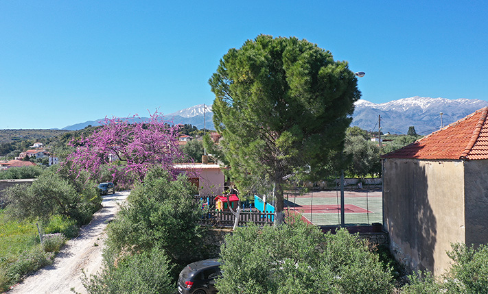 ΟΡΘΟΓΩΝΙΟ ΜΕ ΘΕΑ ΘΑΛΑΣΣΑ ΚΟΝΤΑ ΣΤΙΣ ΚΑΛΥΒΕΣ