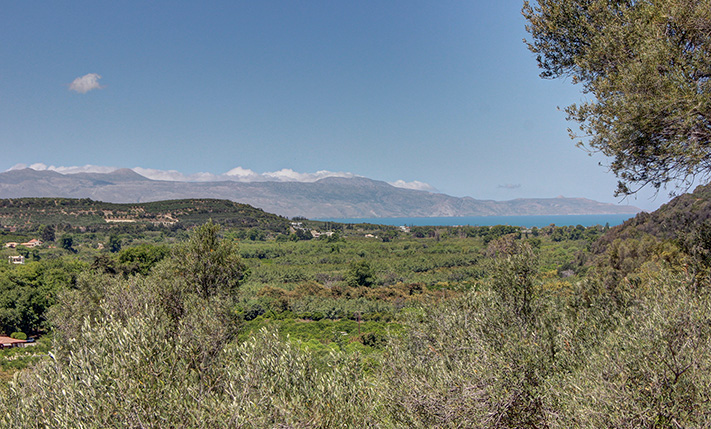 ΔΙΠΛΑ ΣΤΟΝ ΠΛΑΤΑΝΙΑ ΜΕ ΑΝΑΓΝΩΡΙΣΜΕΝΗ ΠΡΟΣΟΨΗ