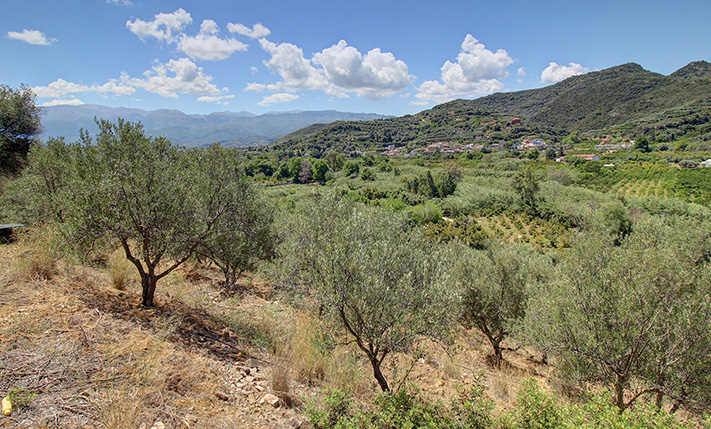 ΔΙΠΛΑ ΣΤΟΝ ΠΛΑΤΑΝΙΑ ΜΕ ΑΝΑΓΝΩΡΙΣΜΕΝΗ ΠΡΟΣΟΨΗ