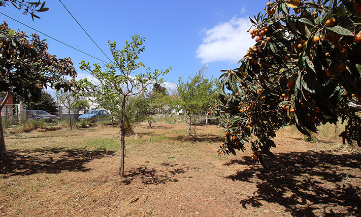 RESIDENTIAL PLOT IN A SUBURBAN VILLAGE