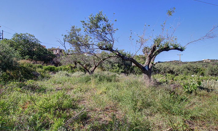 AFFORDABLE SEA VIEWS NEAR KOLYMBARI