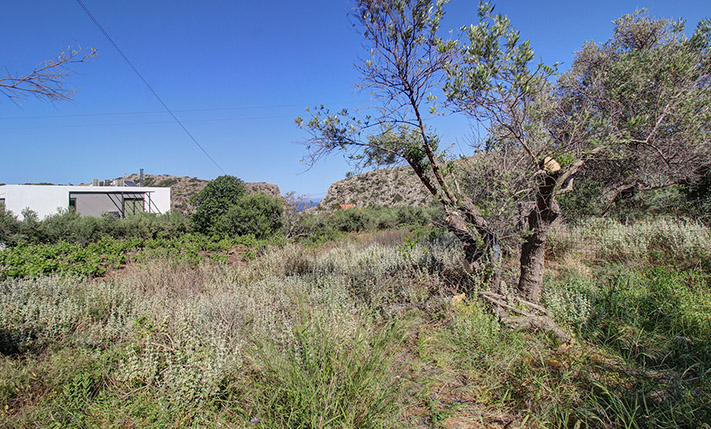 AFFORDABLE SEA VIEWS NEAR KOLYMBARI