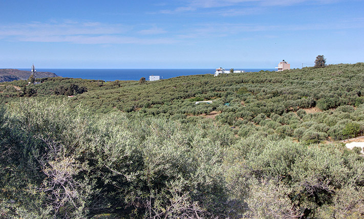 ON A SLOPE WITH SEA VIEWS SOUTH OF AGIA MARINA