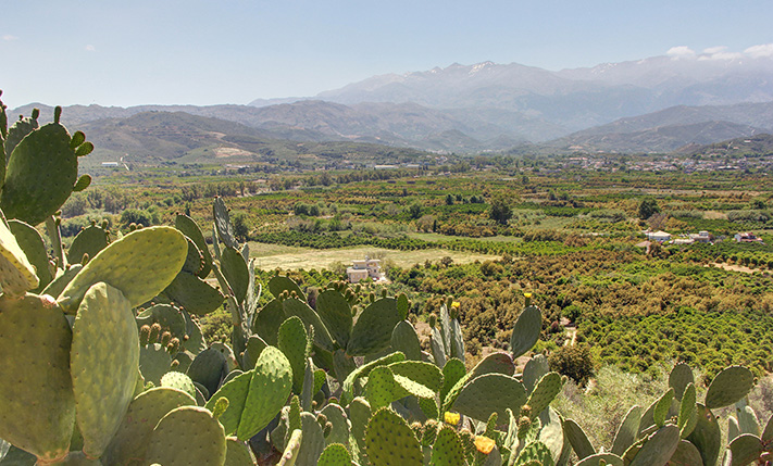 ΠΑΝΟΡΑΜΙΚΗ ΘΕΑ ΩΣ ΤΑ ΛΕΥΚΑ ΟΡΗ