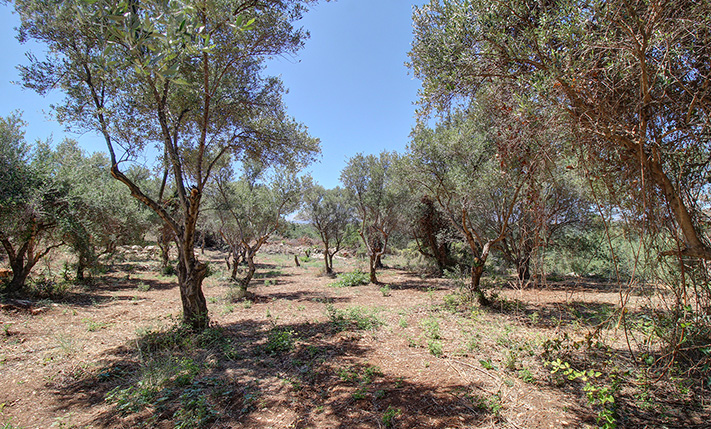 ΜΕ ΘΕΑ ΣΤΑ ΛΕΥΚΑ ΟΡΗ ΚΑΙ ΜΕΧΡΙ ΤΗ ΘΑΛΑΣΣΑ
