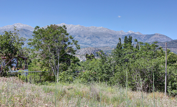 ELEVATED WITH VIEWS & A LARGE FRONT