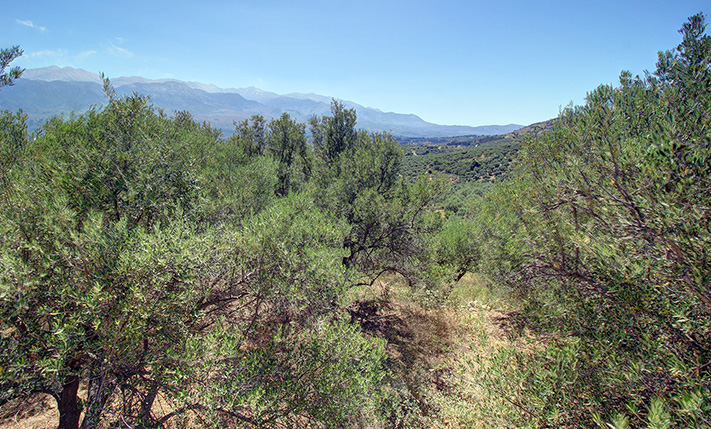 EASY ASPHALT ACCESS THAT SECURES BUILDABILITY