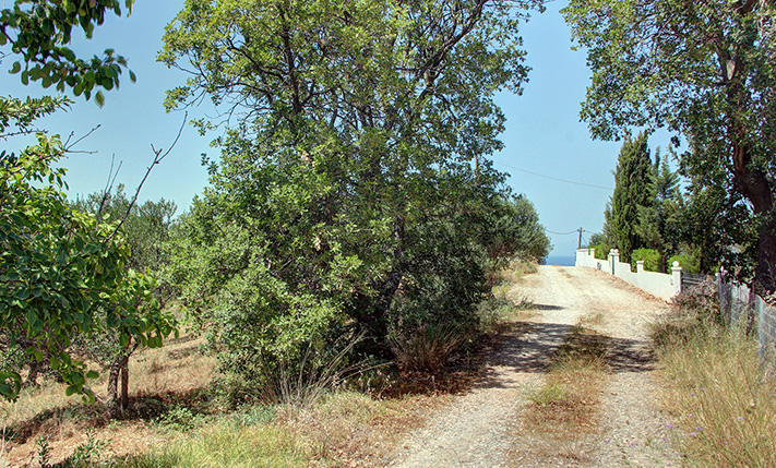 ΑΜΕΣΗ ΠΡΟΣΒΑΣΗ ΣΕ ΔΙΚΤΥΑ & ΕΥΚΟΛΗ ΠΡΟΣΒΑΣΗ