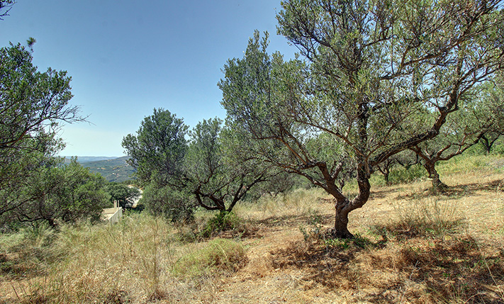 EASY TO GET TO & DIRECT ACCESS TO NETWORKS