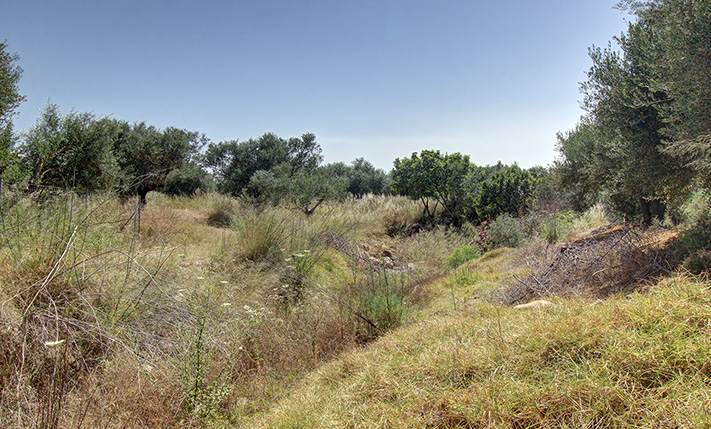 ΕΝΤΟΣ ΟΙΚΙΣΜΟΥ ΑΛΛΑ ΜΕΣΑ ΣΕ ΕΛΑΙΩΝΕΣ