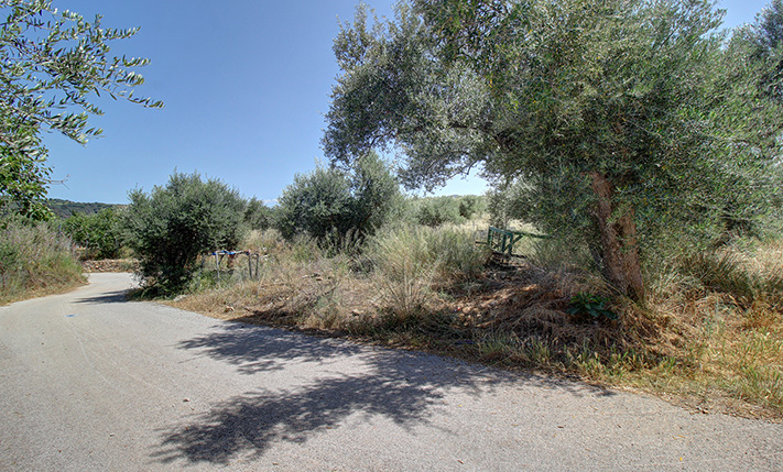 IN A RESIDENTIAL ZONE BUT AMONG THE OLIVE GROVES