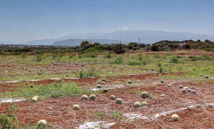 ΜΙΚΡΕΣ ΚΛΙΣΕΙΣ & ΑΝΕΜΠΟΔΙΣΤΗ ΠΑΝΟΡΑΜΙΚΗ ΘΕΑ