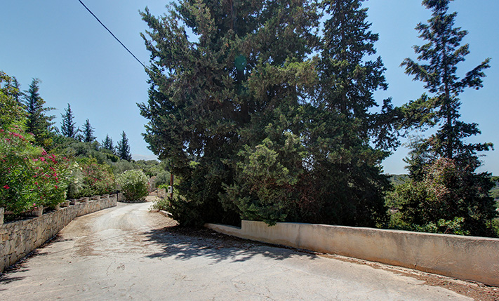 A FORESTED NORTH-FACING SLOPE WITH SEA VIEWS