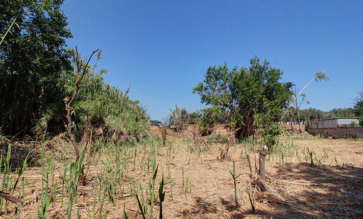 ΤΡΕΙΣ ΟΨΕΙΣ & ΥΨΗΛΗ ΔΟΜΗΣΗ