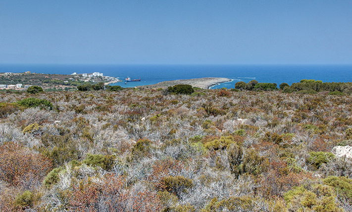 ΚΟΝΤΑ ΣΤΗΝ ΠΟΛΗ ΑΛΛΑ ΜΕΣΑ ΣΤΗ ΦΥΣΗ