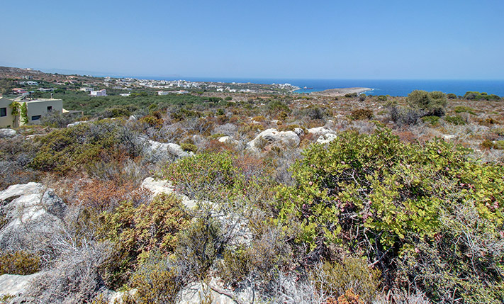 CLOSE TO THE CITY BUT AMONG NATURE