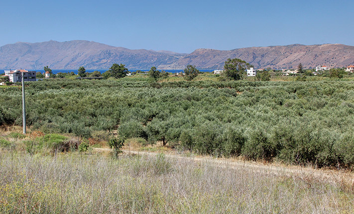 SQUARE DEVELOPMENT PLOT WITH SEA VIEWS