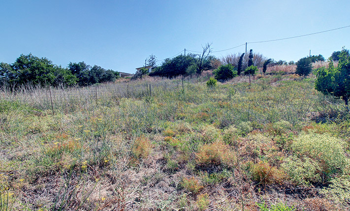 SQUARE DEVELOPMENT PLOT WITH SEA VIEWS