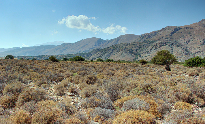 ΜΟΛΙΣ 1 KM ΑΠΟ ΤΟ ΚΑΣΤΡΟ ΤΟΥ ΦΡΑΓΚΟΚΑΣΤΕΛΛΟΥ