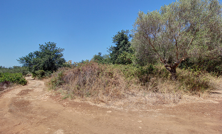 ΟΙΚΟΝΟΜΙΚΗ ΤΟΠΟΘΕΤΗΣΗ ΜΕ ΥΨΗΛΗ ΔΟΜΗΣΗ