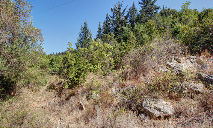 ΔΑΣΥΛΛΙΟ ΜΕ ΕΤΟΙΜΗ ΑΔΕΙΑ ΝΟΤΙΑ ΤΗΣ ΑΛΜΥΡΙΔΑΣ