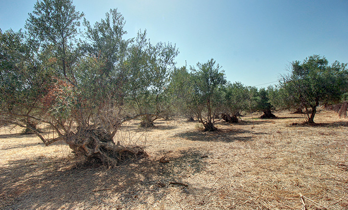 PERMIT IN PLACE FOR A 63 M2 DETACHED BUNGALOW