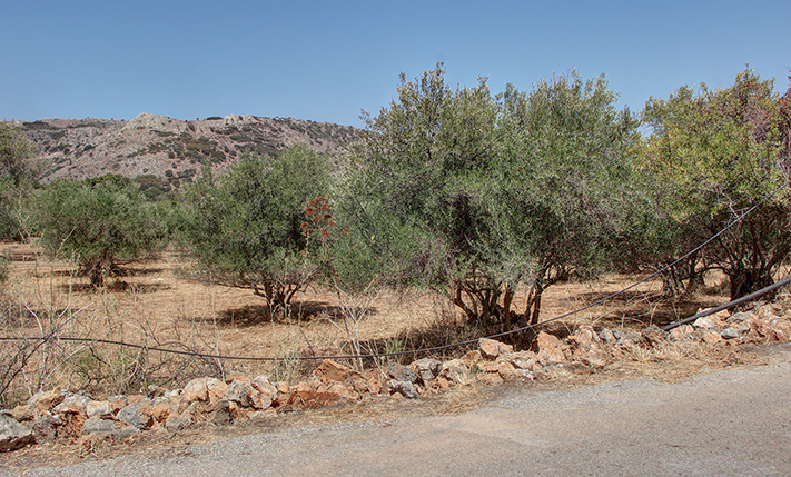 PERMIT IN PLACE FOR A 63 M2 DETACHED BUNGALOW